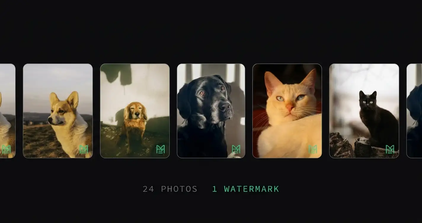 How to Add a Watermark to Multiple Photos at Once