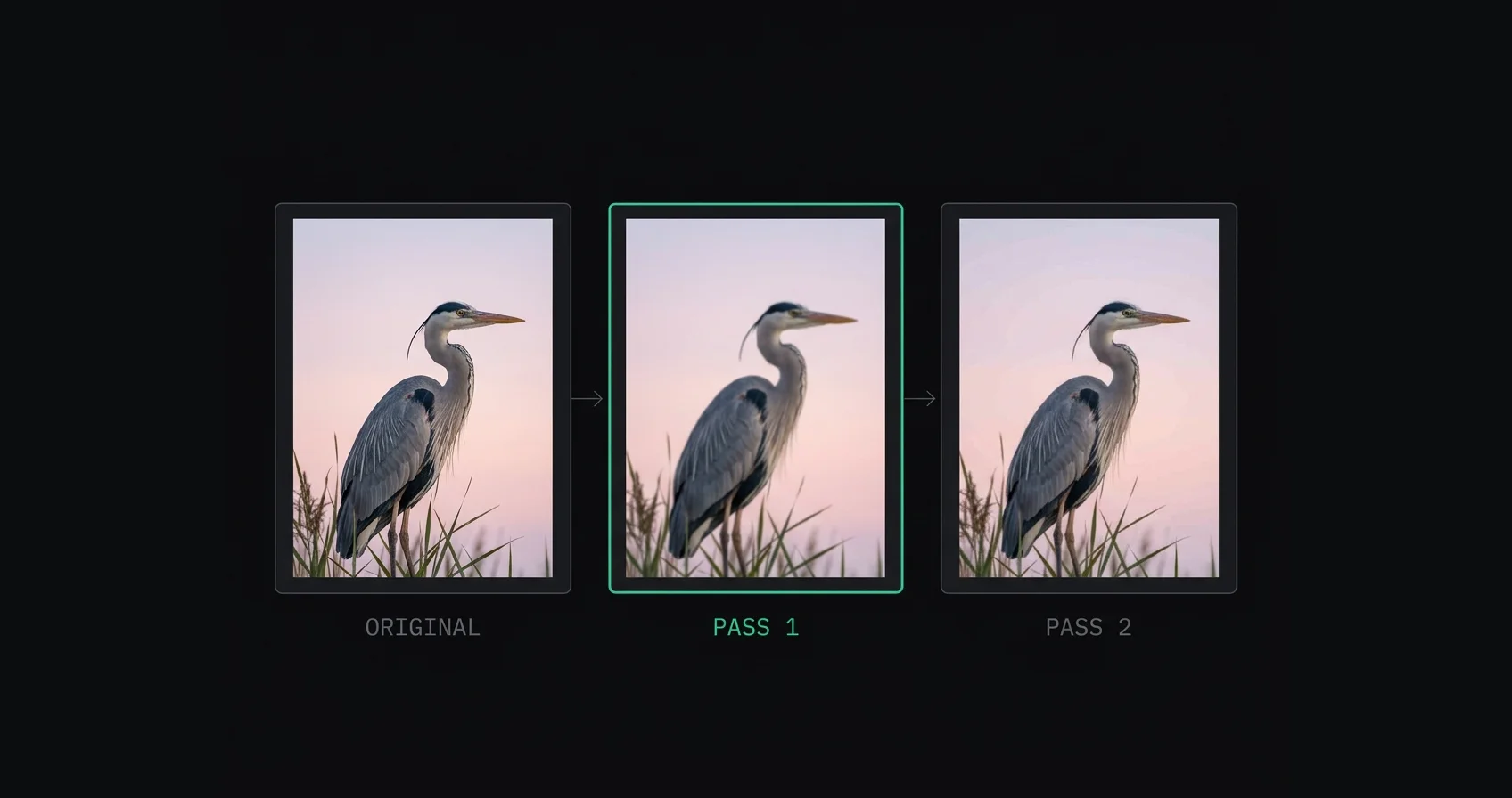 Why Instagram Ruins Your Photo Quality (And How to Fix It)